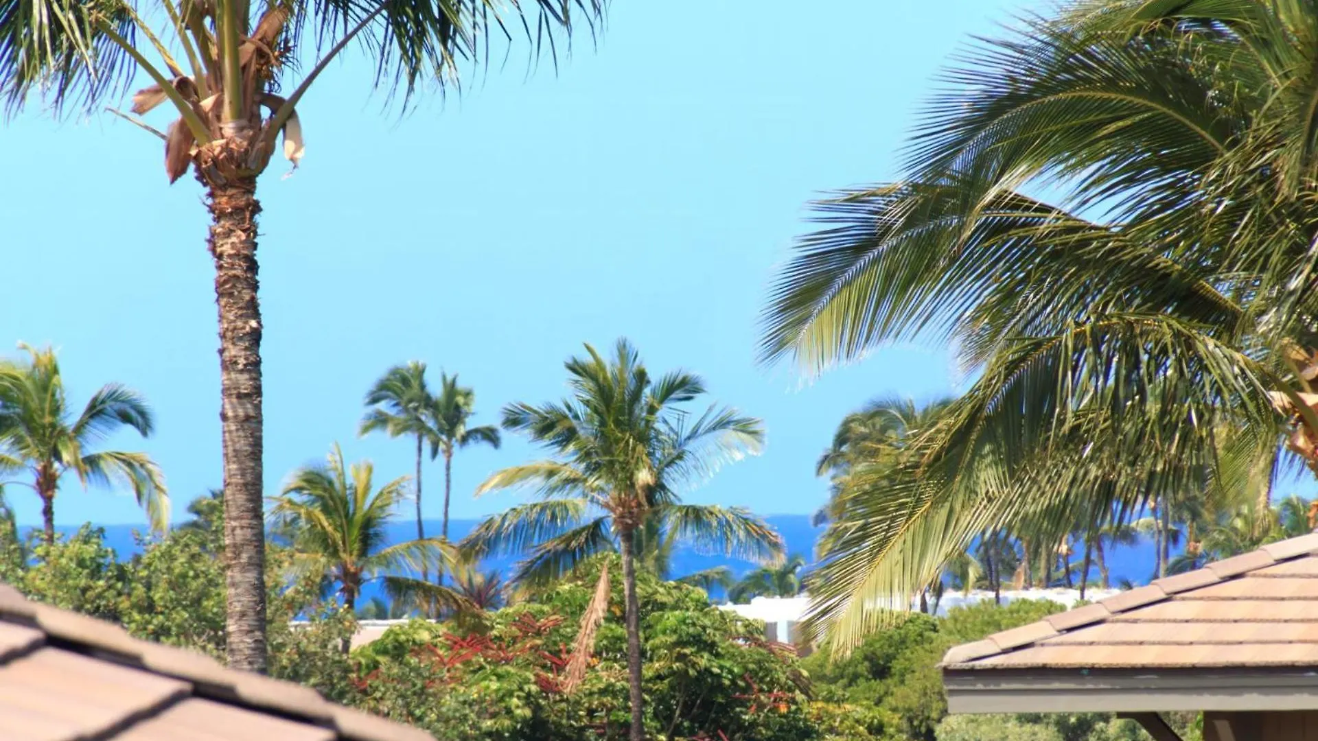 Kbm Resorts Free Car Halii Kai Hli-19G 3 Bdrm Condo W Luxury Amenities Ac Waikoloa 0*,  USA